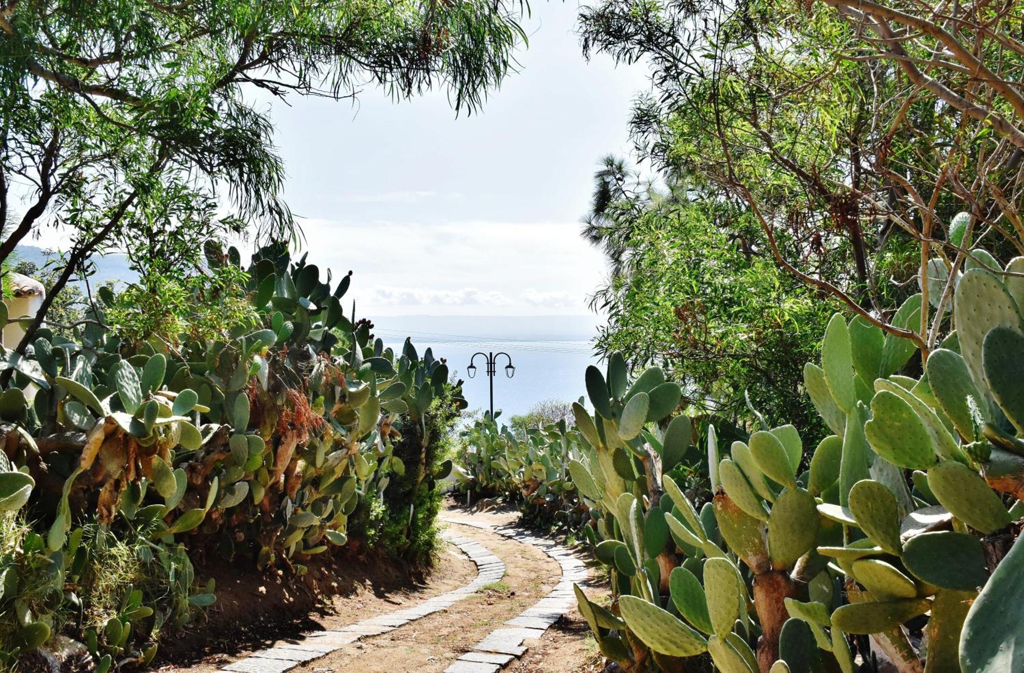 Calabria Beach Villa'S Capo Vaticano Εξωτερικό φωτογραφία